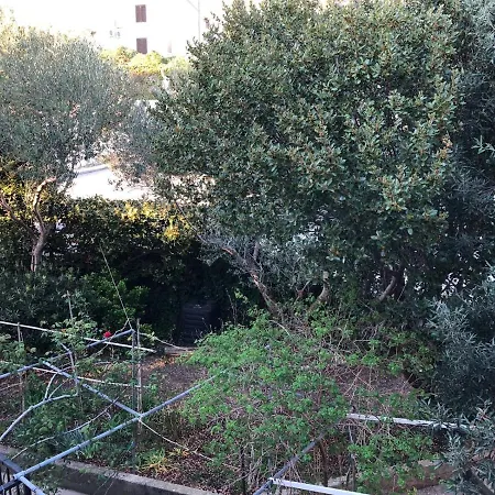 Apartment With A Parking Space Barbat, Rab - 16723 Barbat na Rabu